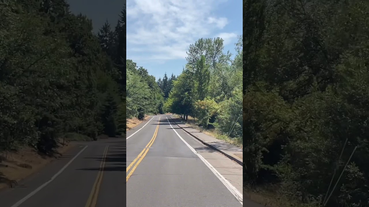 One of the Best Eugene Neighborhoods | Upper Churchill | Living in Eugene Oregon