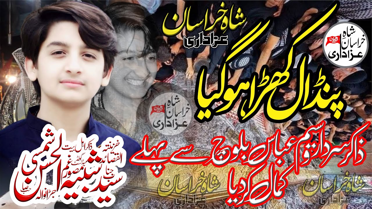 #Zakir Syed Shabi-ul-Hassan Shamsi || #28 April 2023|| #Chak 5/9R YaruWala  || #Khanewal