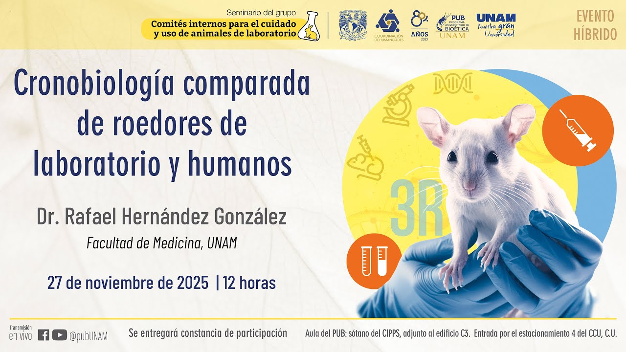 Seminario CICUALES, 