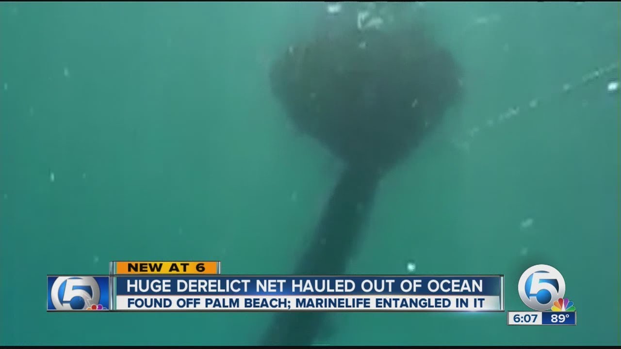 Ghost net recovered