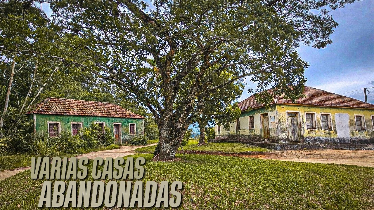 ELE SUMIU E QUANDO FORAM PROCURÁ-LO, O PIOR TINHA ACONTECIDO!