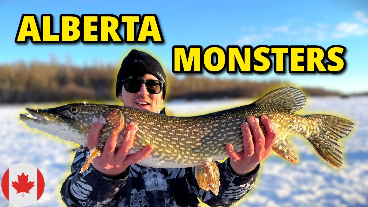 I Found the BEST Pike Lake in Alberta! 🇨🇦 (New PB) Ice Fishing