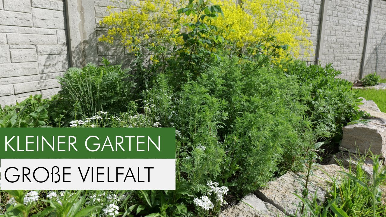 Update! Nur 35m² – So sieht ein kleiner Naturgarten im 1. Jahr aus - Eine Oase für die Tiere!