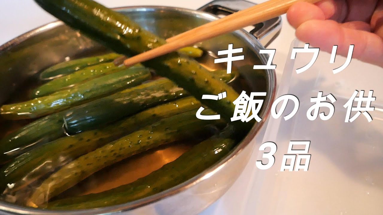【おばあちゃんのキュウリの食べ方】夏のキュウリは煮て食べる/ご飯のお供に最適/煮たキュウリで新食感を楽しむ！！