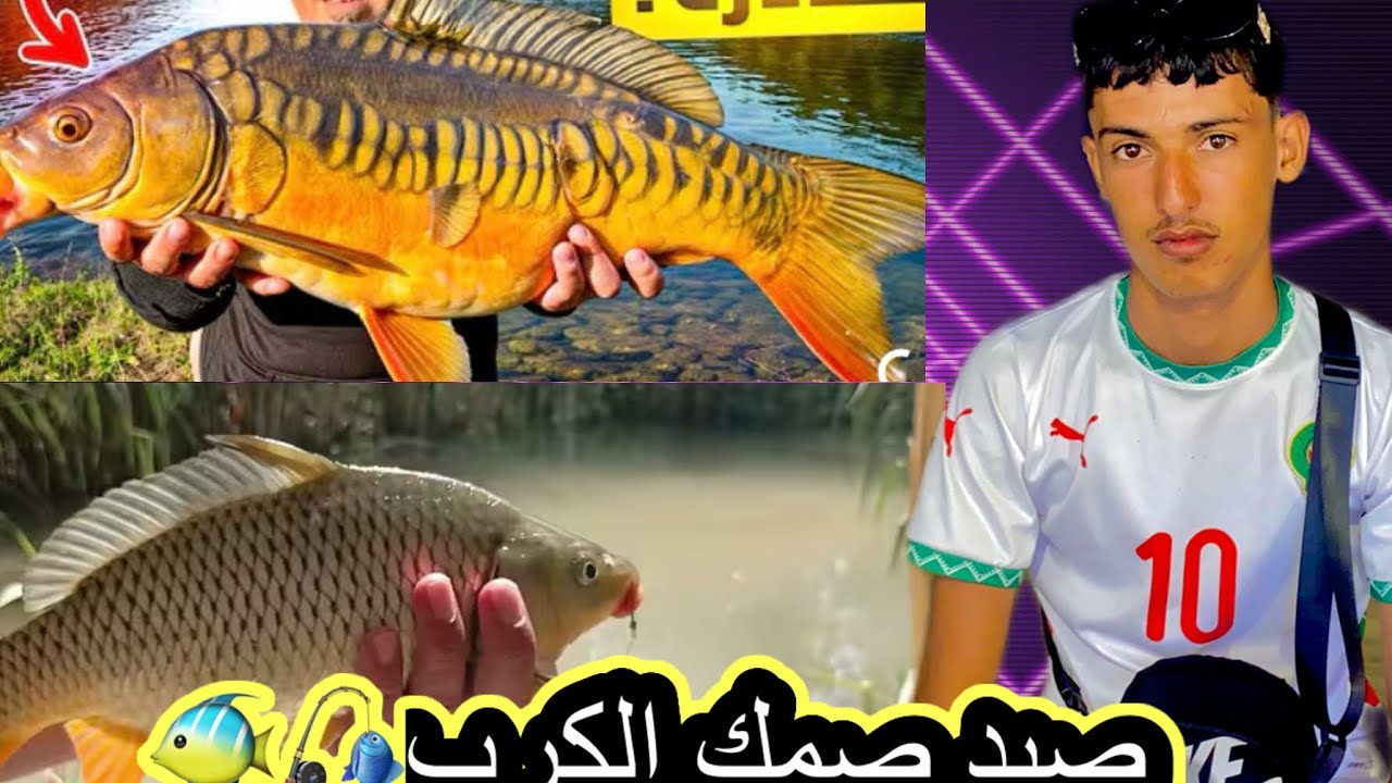 رحلة صيد 🎣صمك 🐠الكارب 🎣وصدمة صمك 🤬مختفي وهد هو موشكيل 🤯🤯