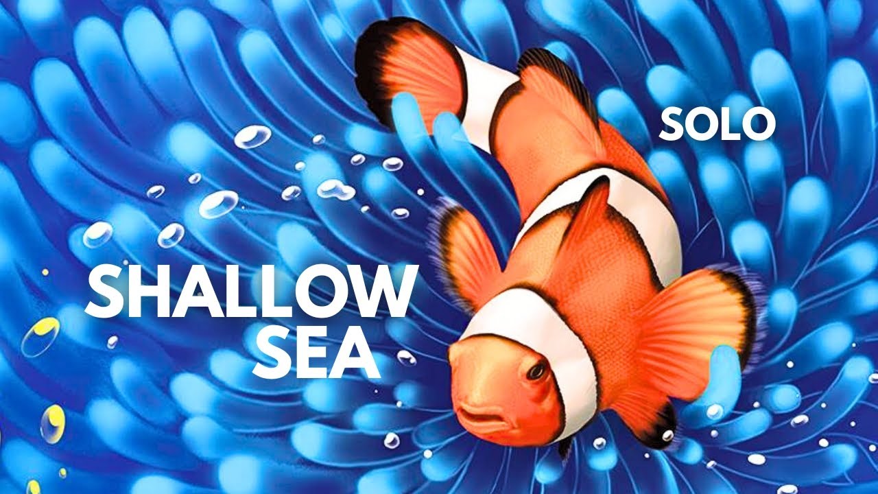 Shallow Sea | Solo Board Game Tutorial and Playthrough (Review copy provided)