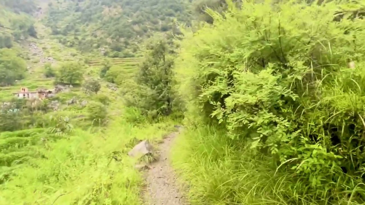 Torwali song, towal sheed ho masho aa khia boray ingola 