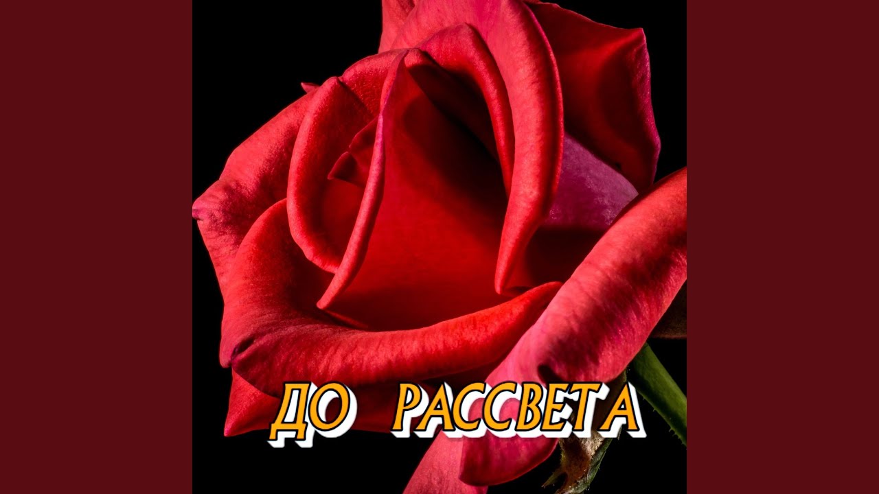ДО РАССВЕТА