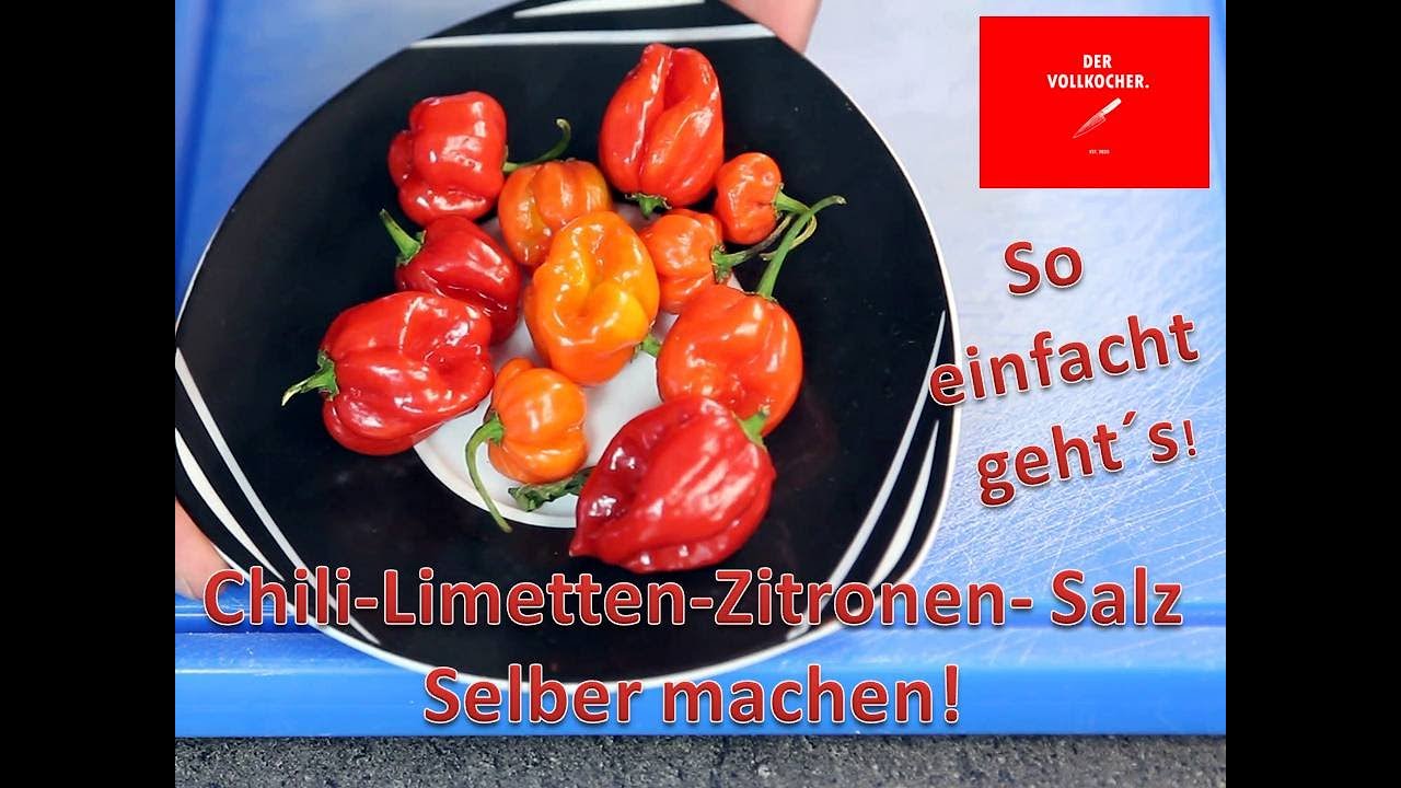 Chili-Limetten-Zitronen-Salz selber machen! So einfach geht´s! Die Variante mit dem Dörrautomaten.