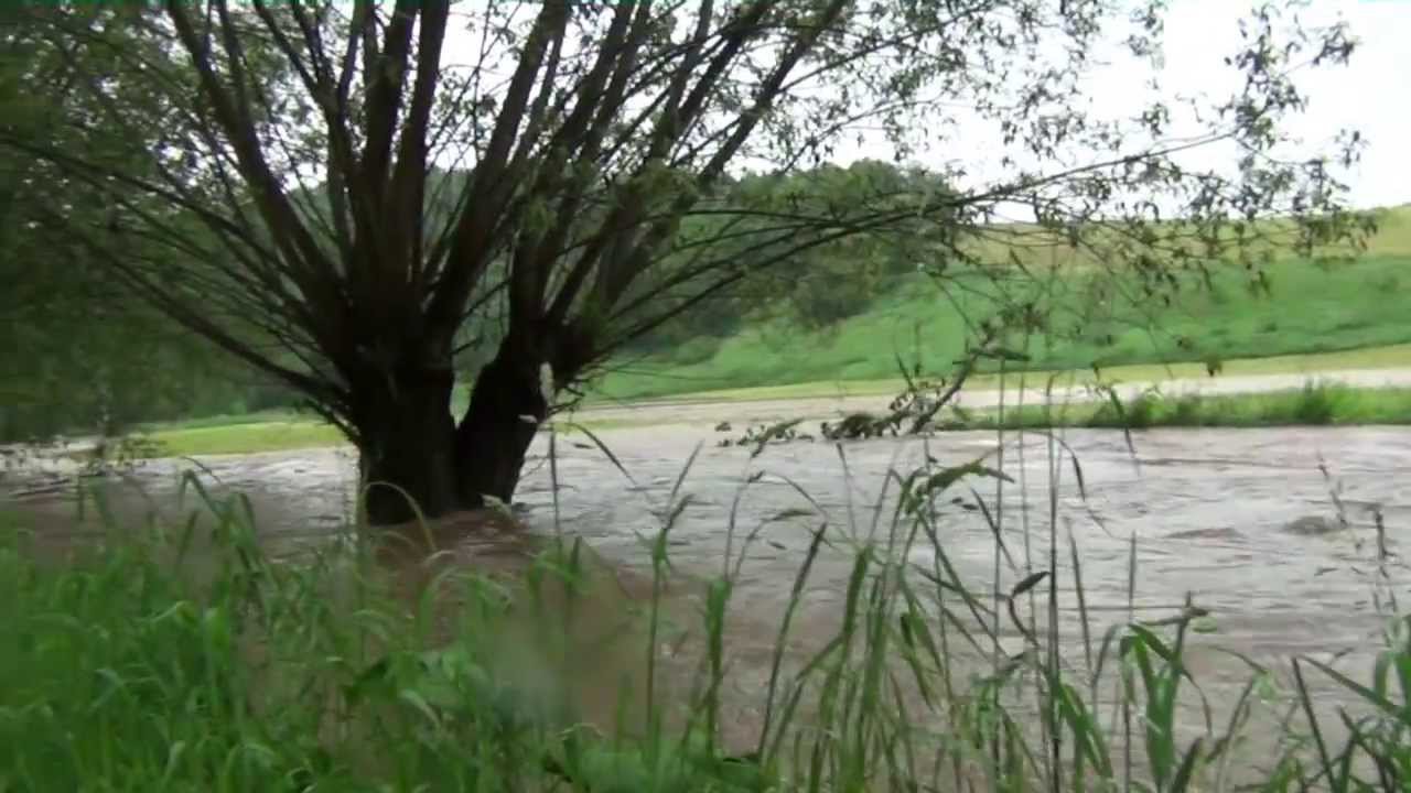 Hochwasser Gera - Collis 02.06.2013