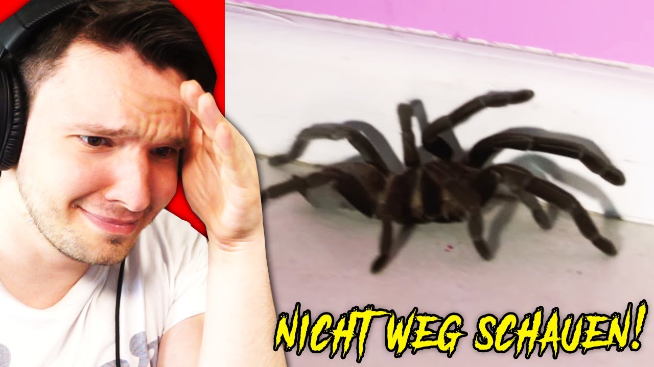 Du schaust WEG, du VERLIERST...