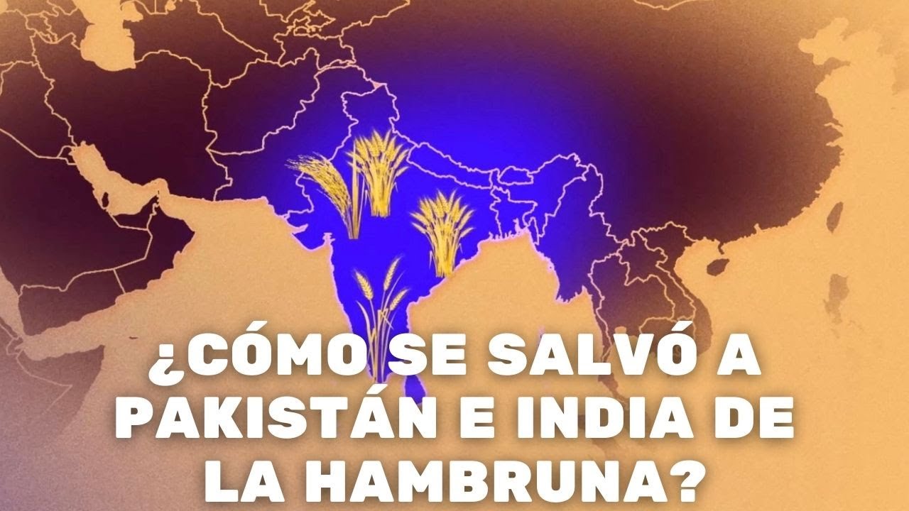 Revolución verde: ¿Cómo se salvaron India y Pakistán de la hambruna?