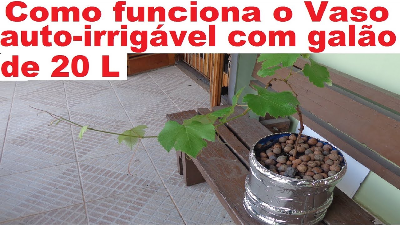 Como Funciona o melhor vaso auto irrigável de 20 litros