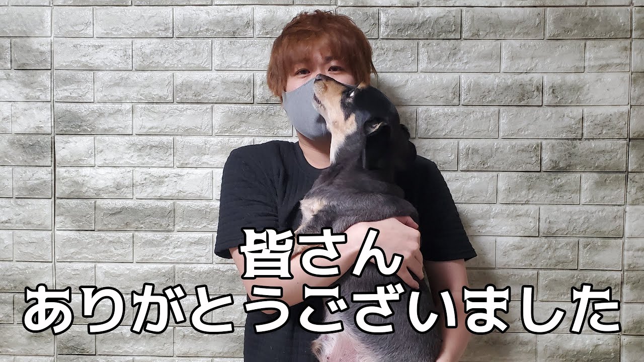 道の駅の車中泊禁止の活動について