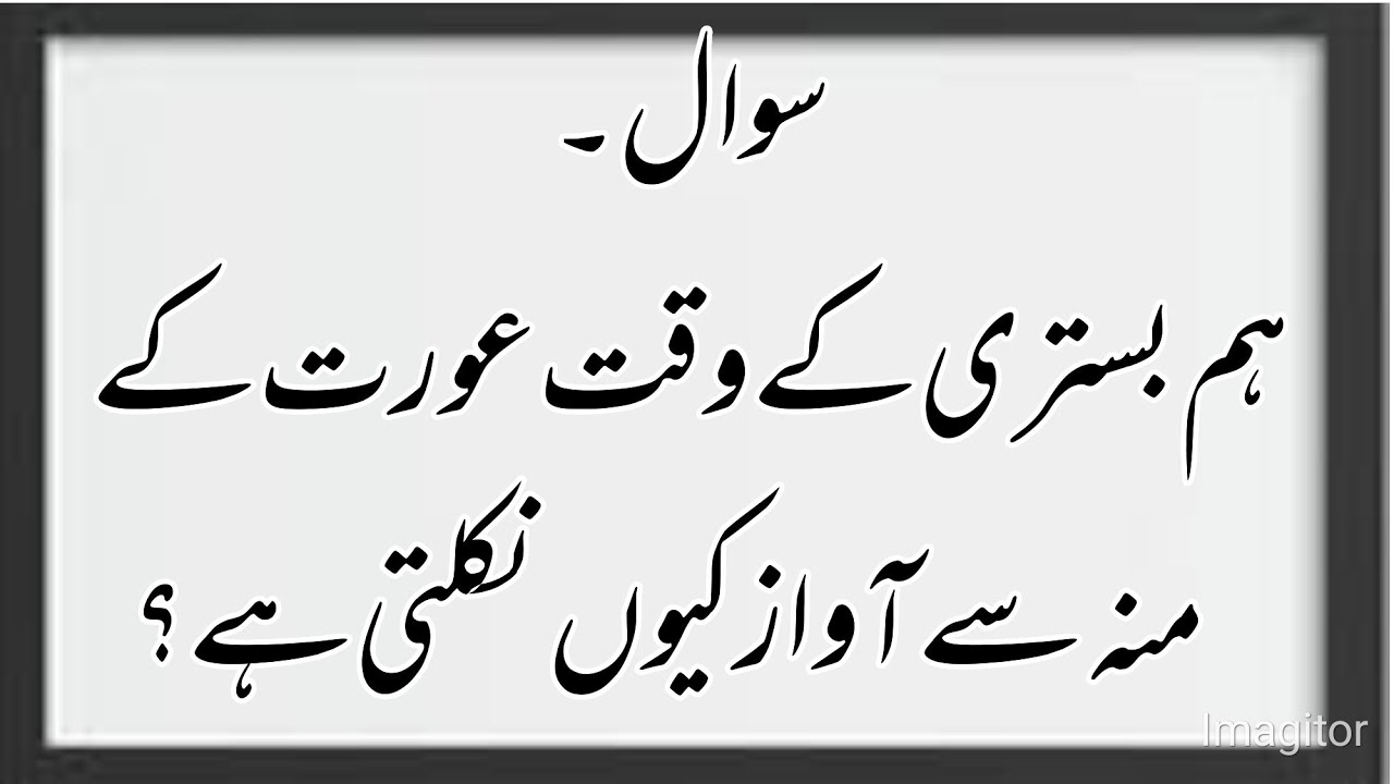 Islamic Questions Answers || Islamic quiz in urdu || all general knowledge questions answers #islami