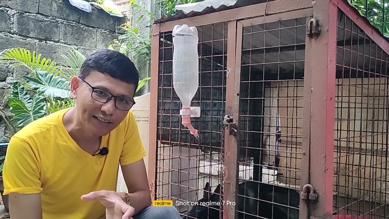 Belgian Malinois - Maling Akala sa Pag Rehome!🤗