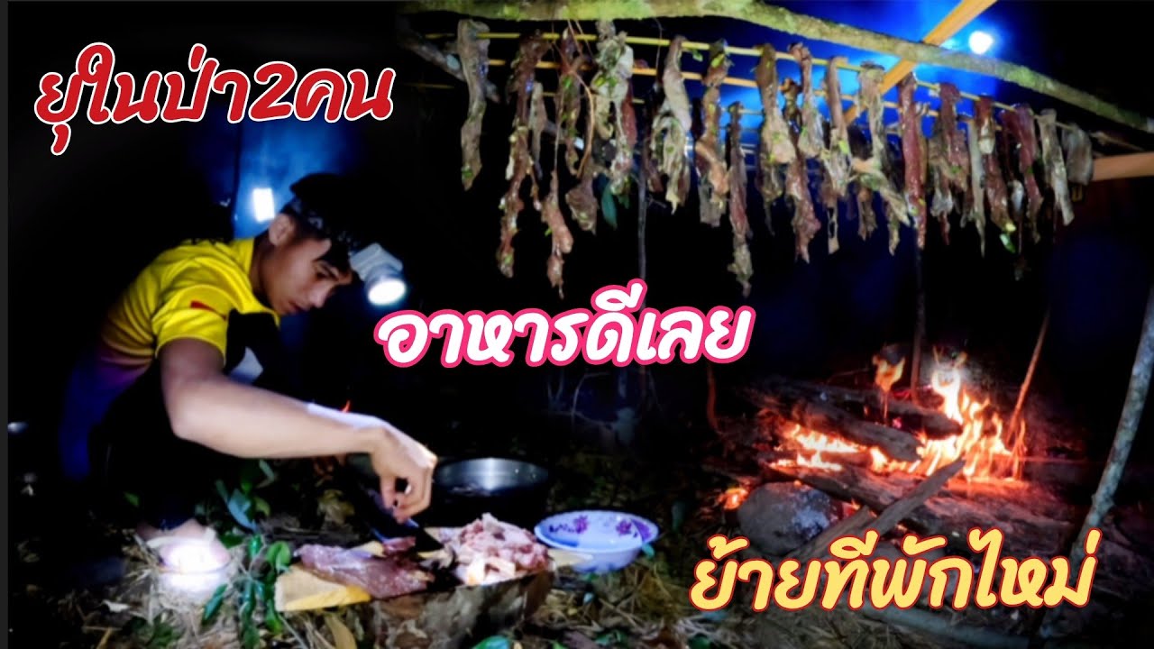 29 มกราคม ค.ศ. 2026 เข้าป่ากลับสาวแอร์ย้ายทีพักไหม่//ເຂ້າປ່າກັບສາວແອຍ້າຍທີພັກົຫມ່ThonBanNa
