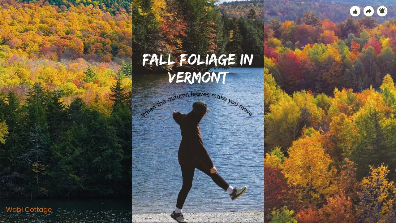 Road Trip to see The Movement of Colors / Fall Foliage in New England / Du lịch 4K - Wabi Cottage