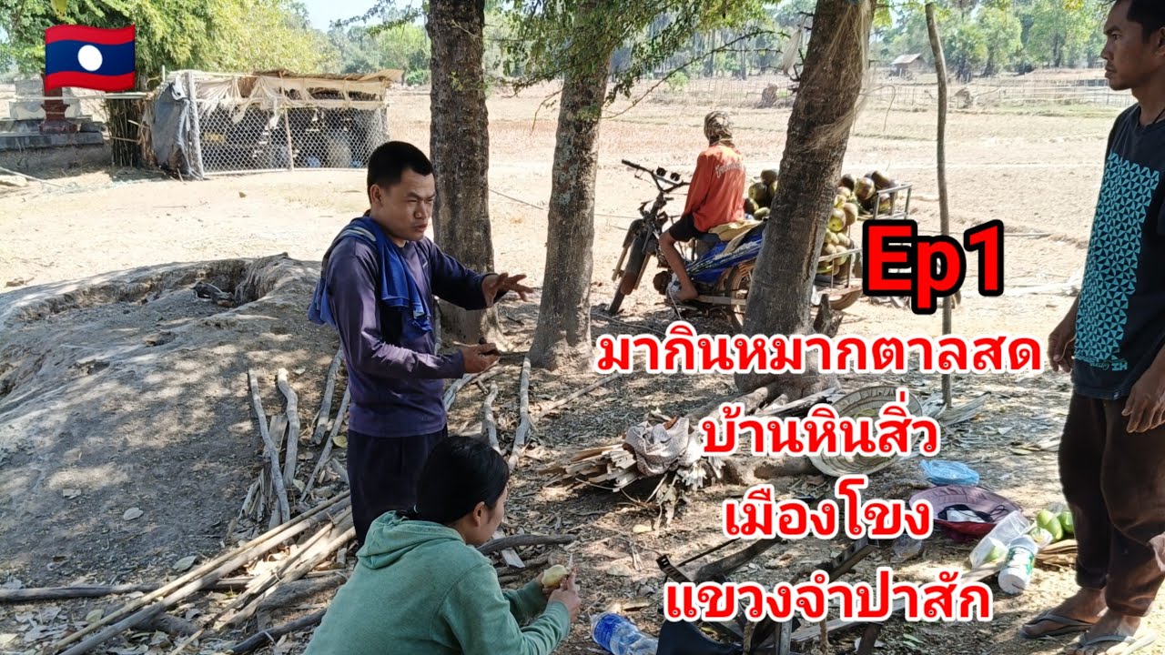 มากินหมากตาลสดบ้านหินสี่วเมืองโขงแขวงจำปาสัก