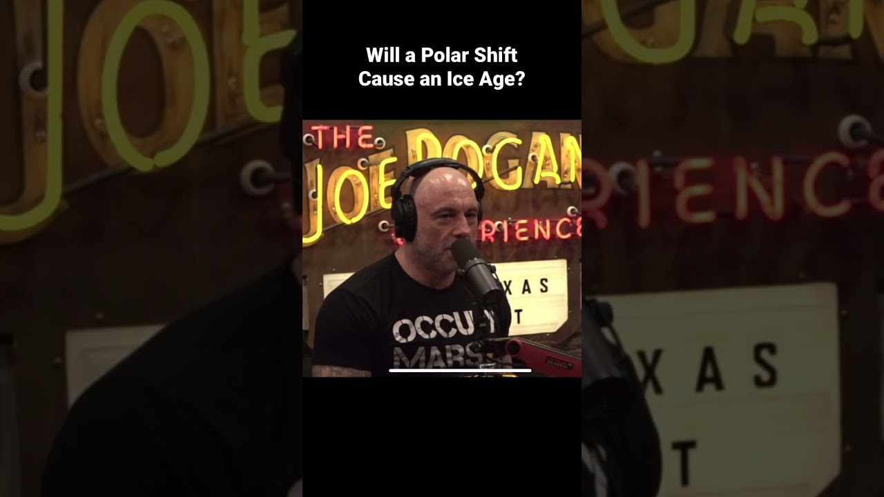 Does Elon Know? #shorts #jre #elon