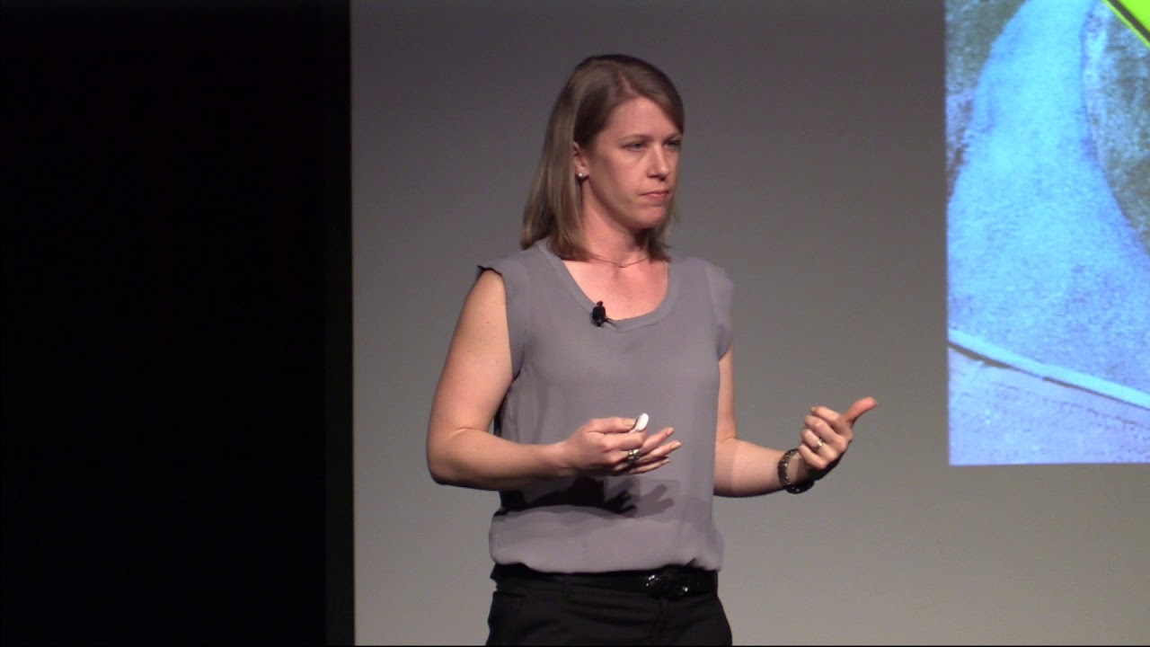 What's Your Frame | Jennifer Willis | TEDxCushingAcademy