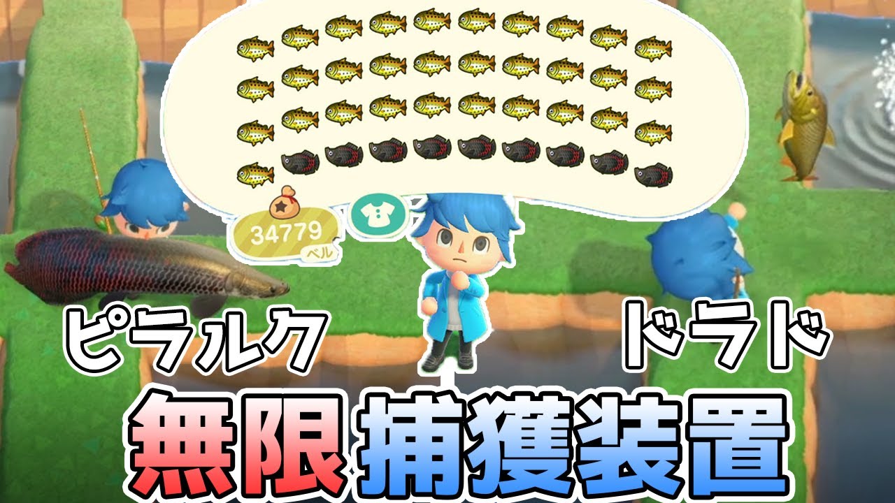 【あつ森】ドラドとピラルクが無限に釣れる！ドラド捕獲装置を使った金策でベルを一気に稼ぐ！【あつまれどうぶつの森】
