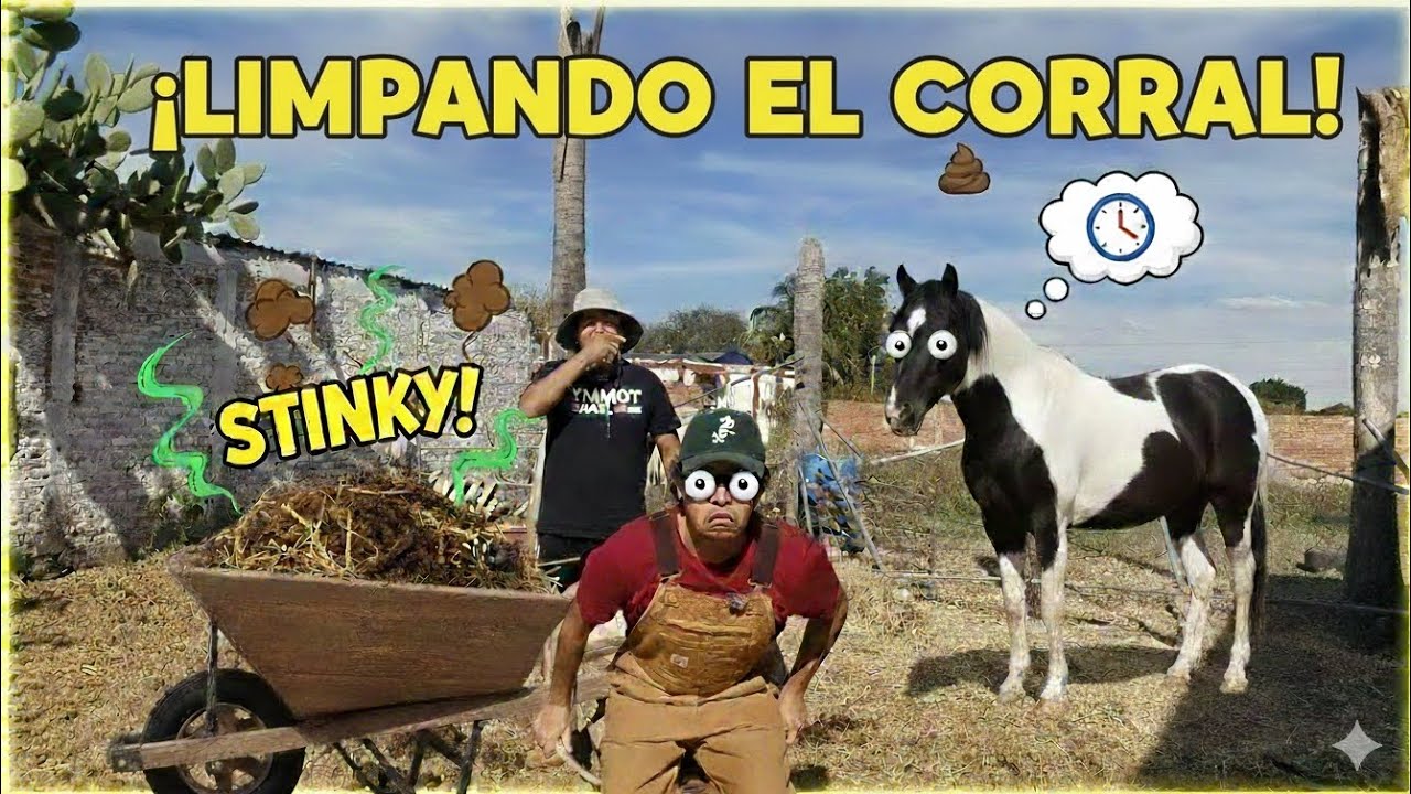 Todo el día limpiando el corral de los caballos 🐎 | Rancho Vlog 🇲🇽