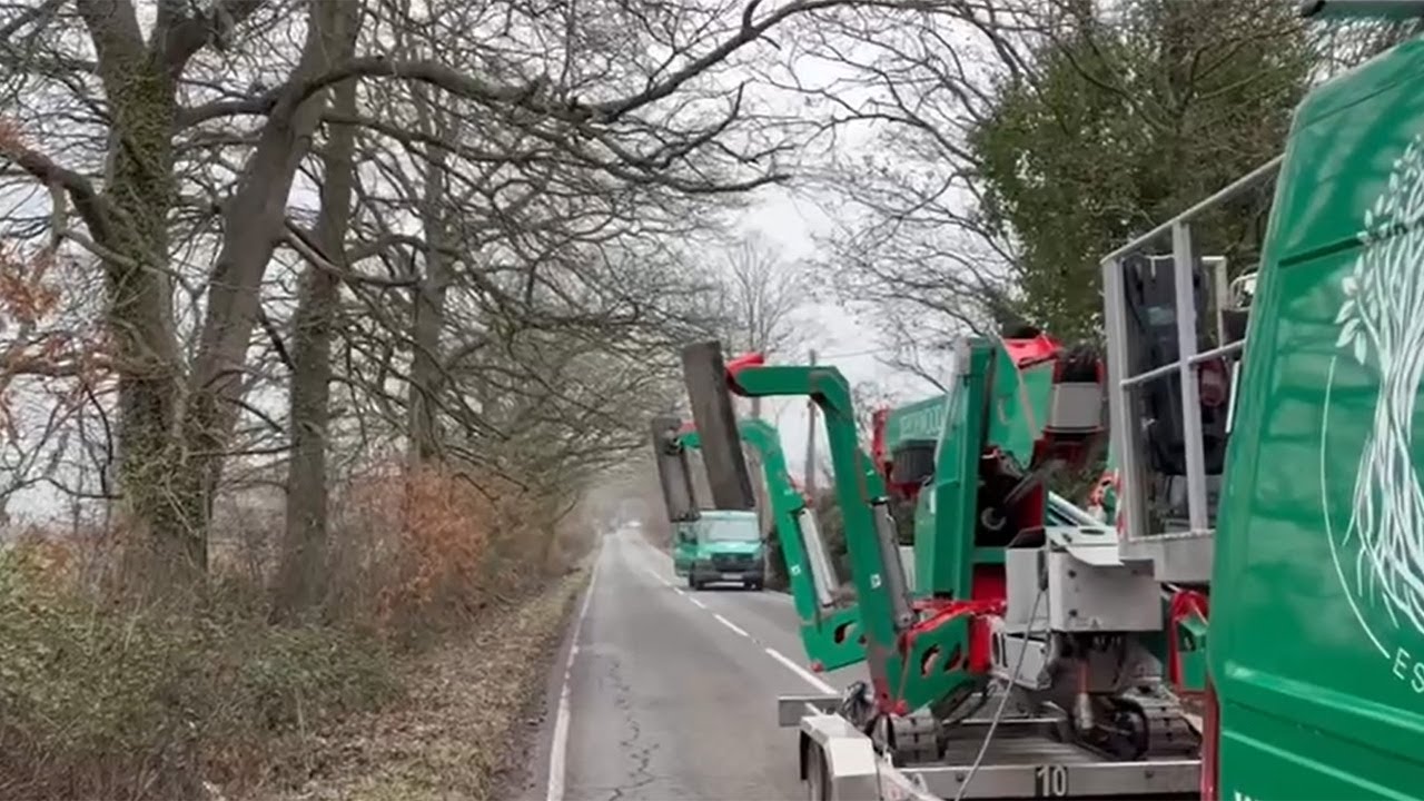 Oak Tree Reduction on a Busy Road | Beechwood Tree Care