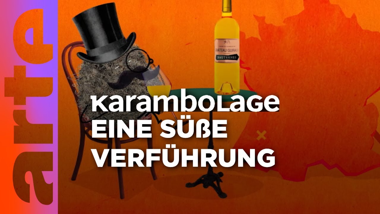 Der Sauternes-Wein: Eine Reise durch die edlen Tropfen | Karambolage | ARTE