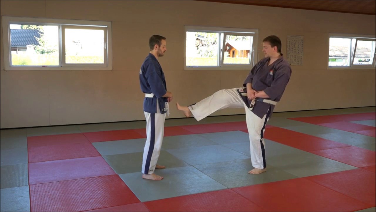 Yoseikan Budo Suisse - La technique du mois - Juillet 2017