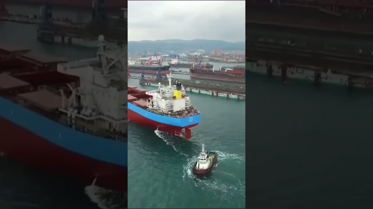 INCREDIBLE CONTAINER SHIPS | The Container Station #shorts