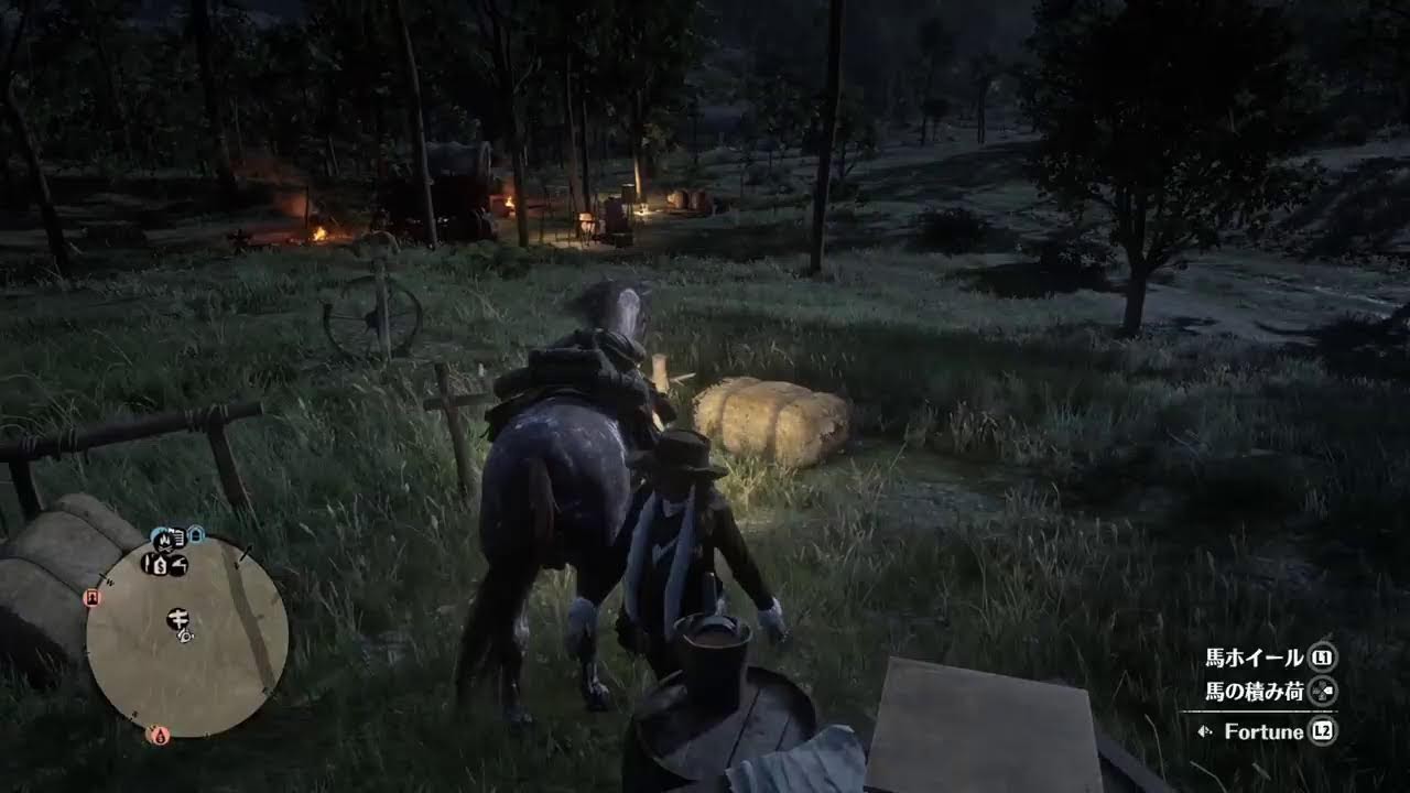 Ps5.RED DEAD Online [質問(可 2026/1/16 #01]