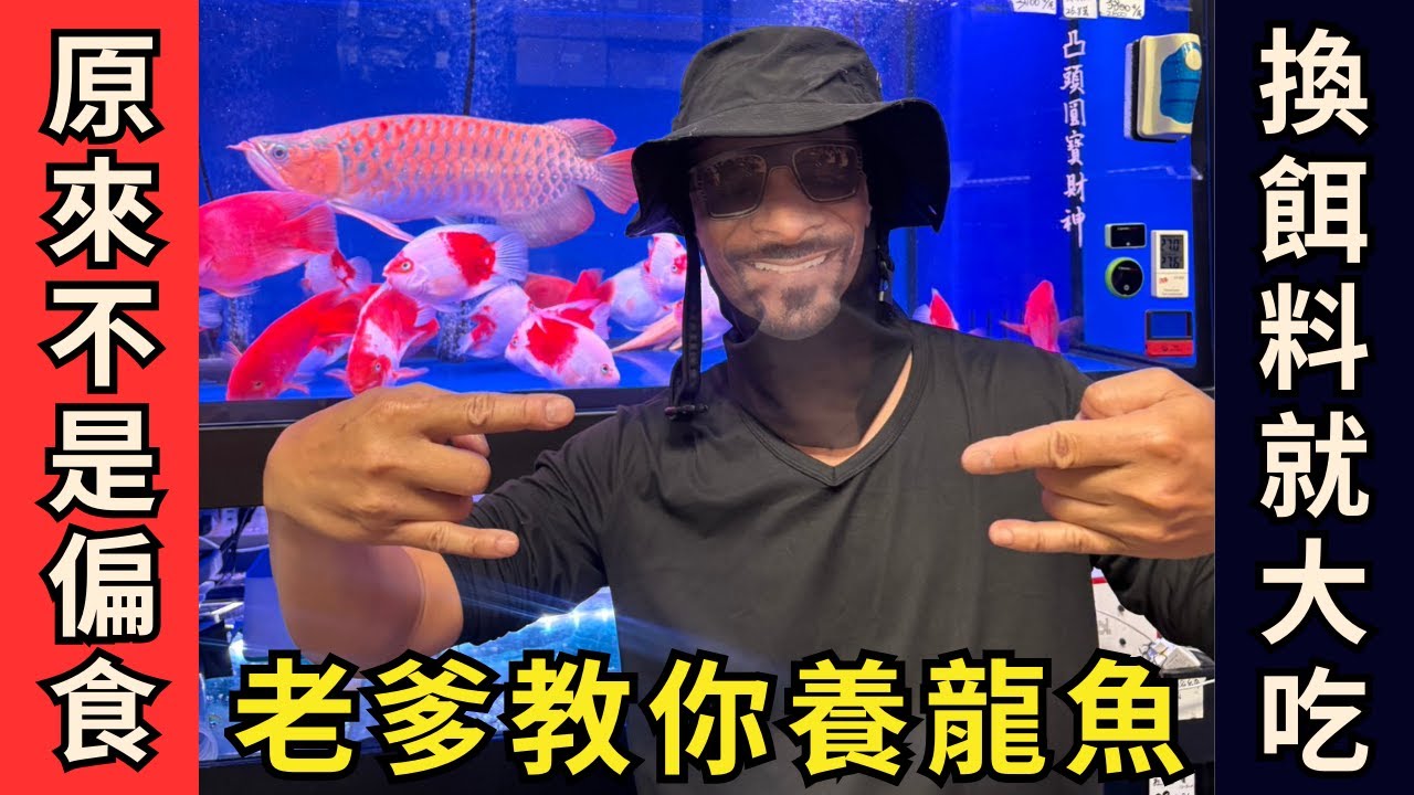 【龍魚教室】原來不是偏食，換餌料就大吃