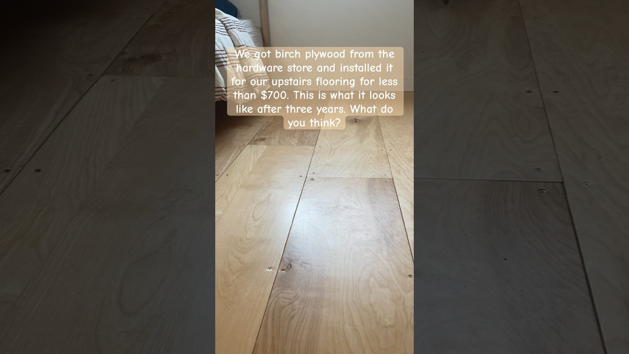 Plywood floors for under $700 #DIY What do you think? #plywood #shorts