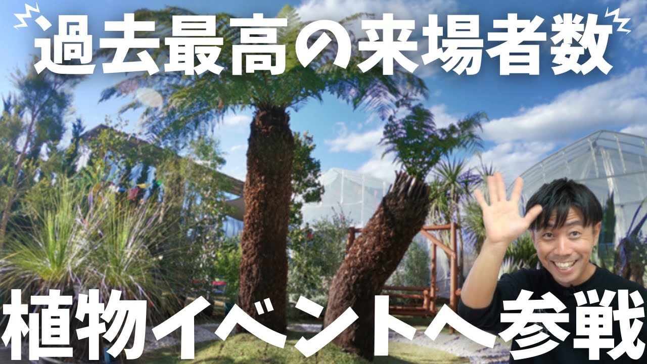 【塊根・アガベ】植物イベントmana's marketで起こった出展者様とのやりとり！