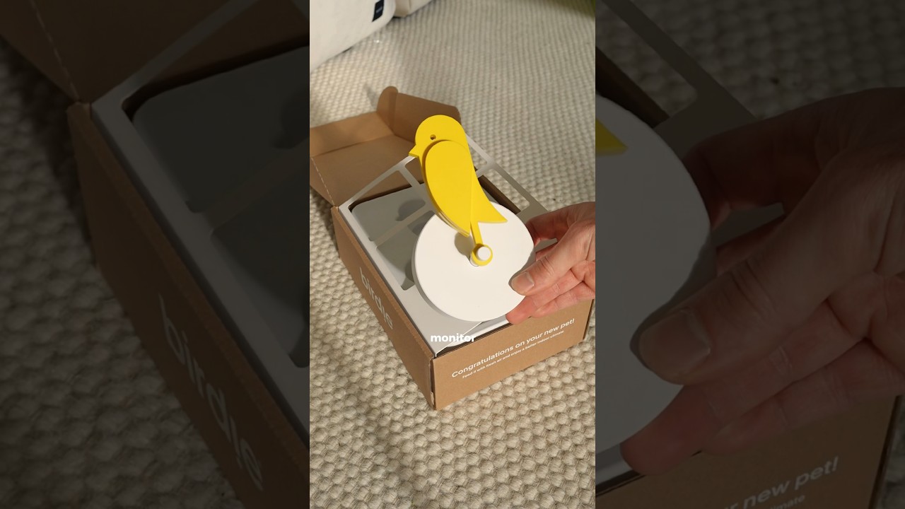 This bird might save your life 🐥 #canary #birdie #co2 #monitor