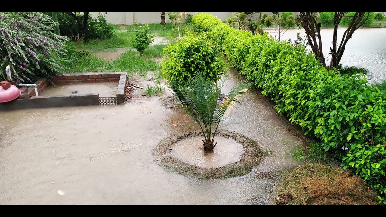 With Malice towards No One Just a Fun Drive in Sirsa City Captured by Garmin Dashcam