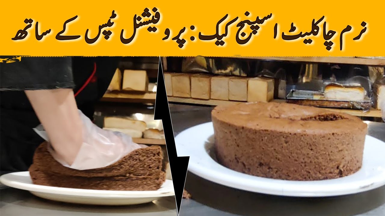 Basic Chocolate Sponge Cake Recipe | Bakery-Style Commercial Sponge Cake By Mrchefu