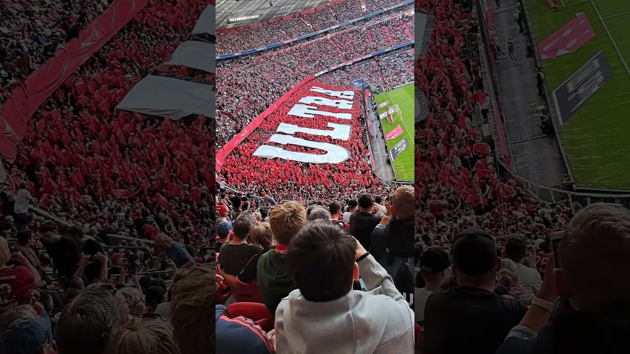 Allianz Arena atmosphere, Bayern Munich