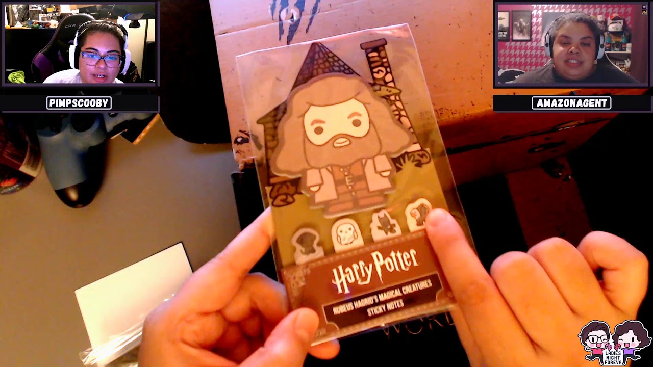 [Unboxing] Wizarding World Crate - BEST ONE YET!