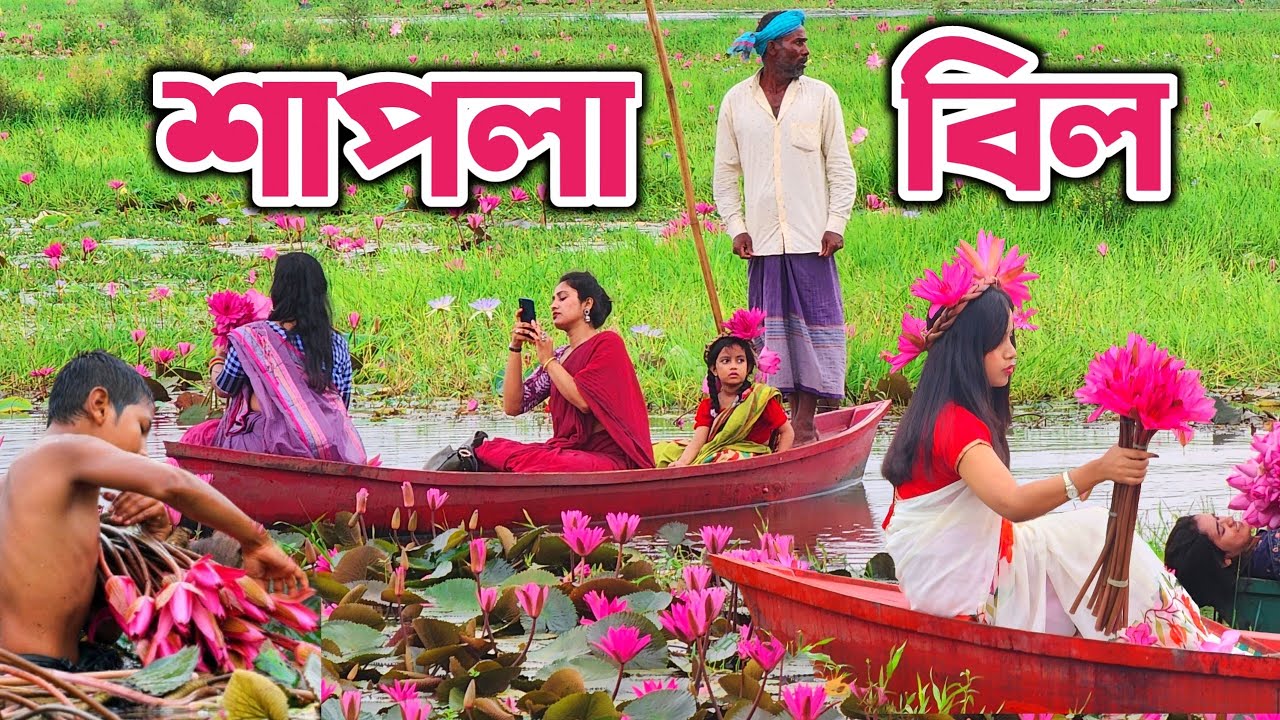 শাপলা বিল নারায়ণগঞ্জ, রুপগঞ্জ। Shapla Bill 300 Feet। শাপলা বিল ঢাকা। Shapla Bill