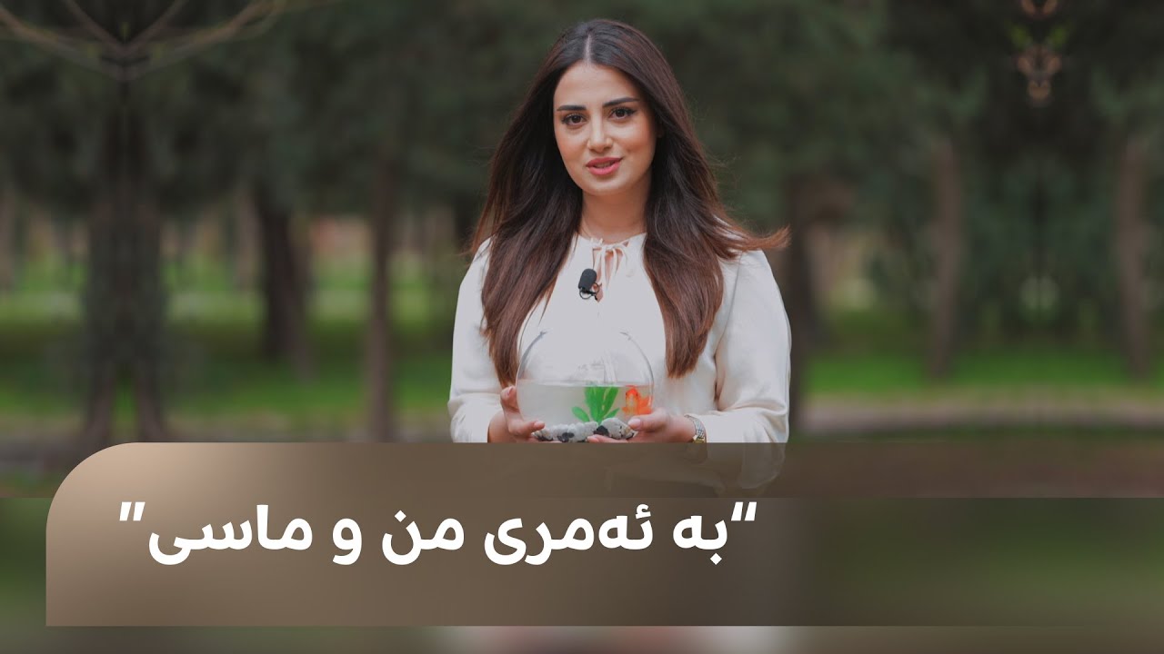 بەرنامەی ماڵی و کێوی؛ چۆن ماسی لە ماڵەوە بەخێوبکەین و چ ئاوێکی بۆ بەکاربهێنین؟