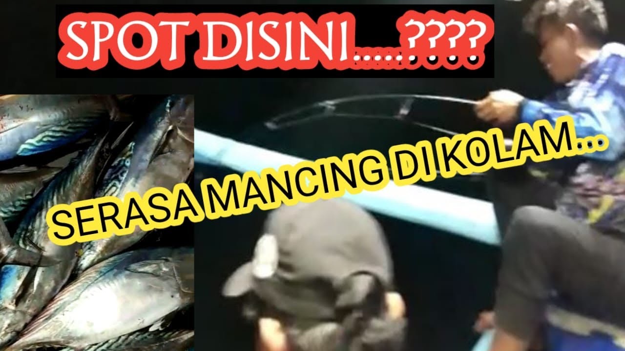 MANCING DIPULAU MENJANGAN SERASA MANCING DIKOLAM