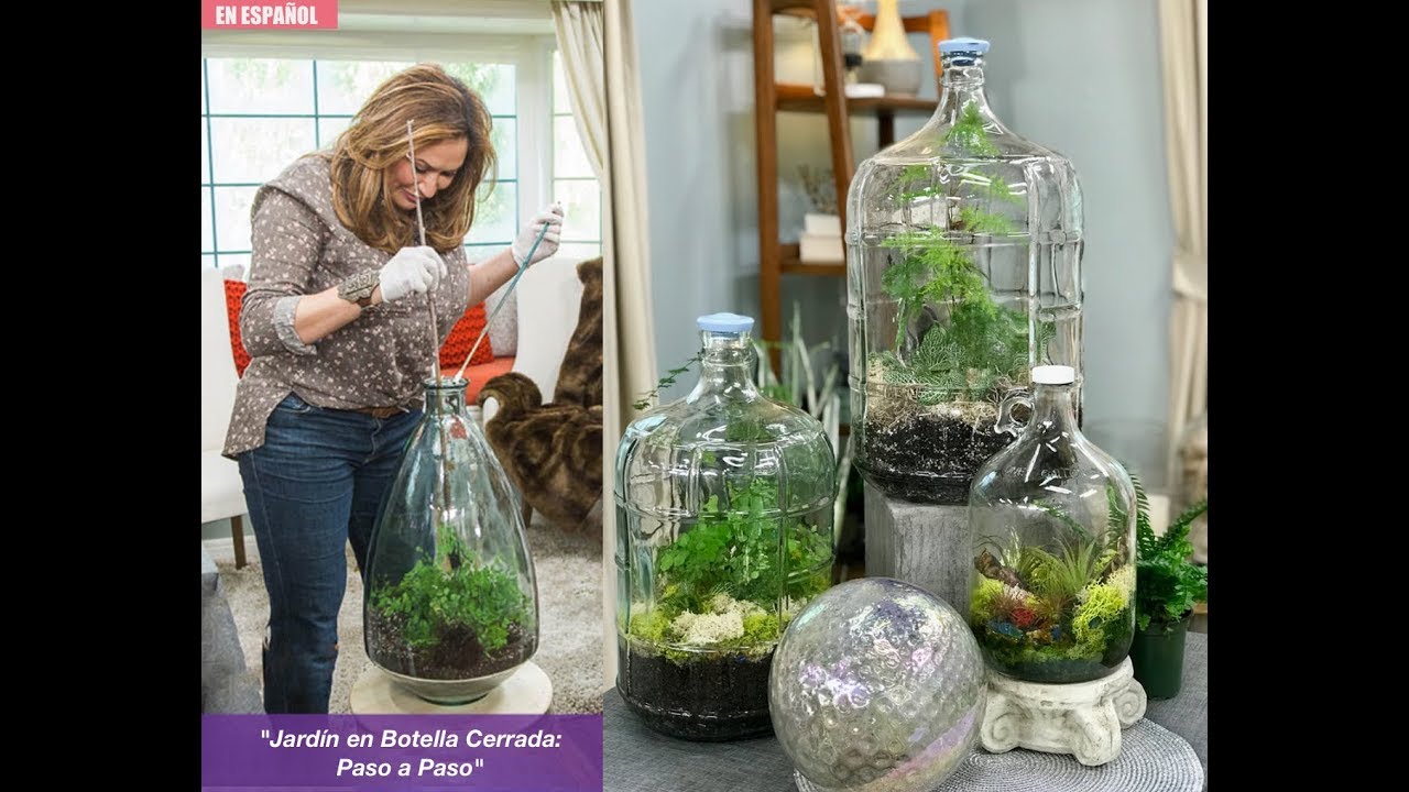 TERRARIOS 🌿 Cómo Hacer Un Jardin Dentro De Una Botella Cerrada / Shirley Bovshow