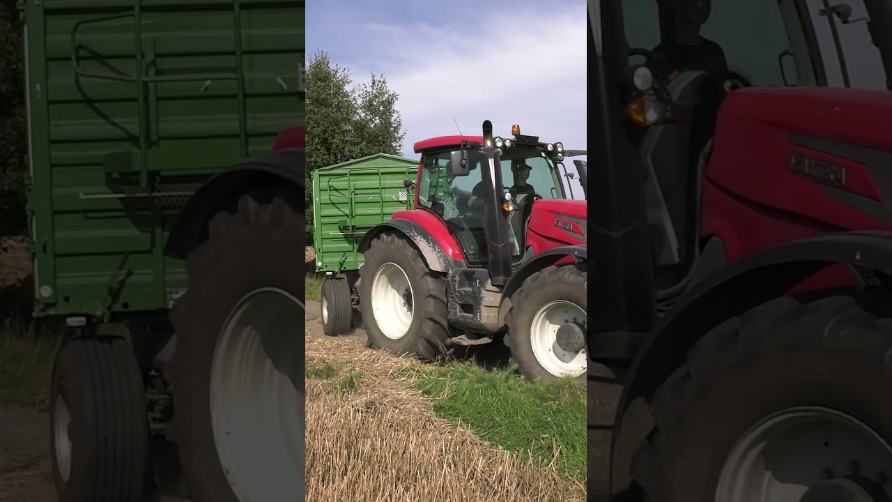 Żniwa 👉 przyczepy Ekopom 👉 nowy kombajn CASE #short  #rolnictwo #farming