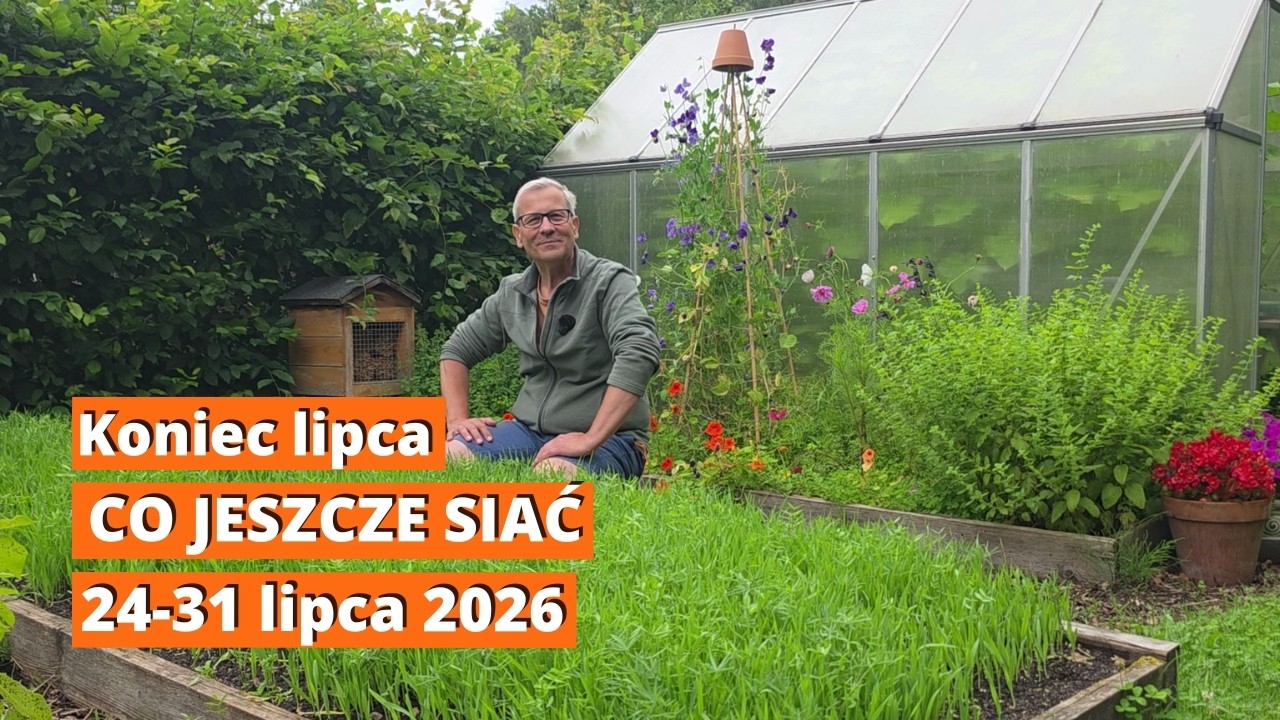 Ostatni tydzień lipca. Co posiać od 24 do 31 lipca? Warzywa na jesienny i zimowy zbi&oacute;r w ogrodzie!