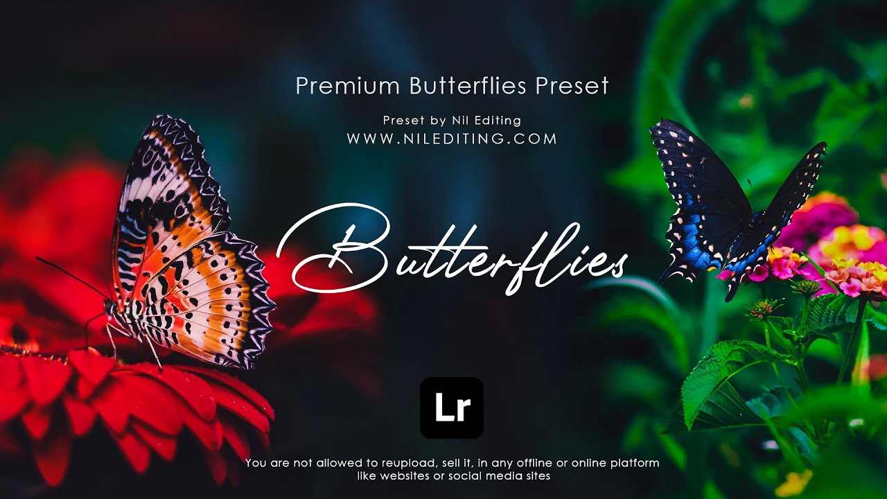 Lightroom Presets DNG & XMP Download - Butterflies Photography Preset Mobile Lightroom Tutorial