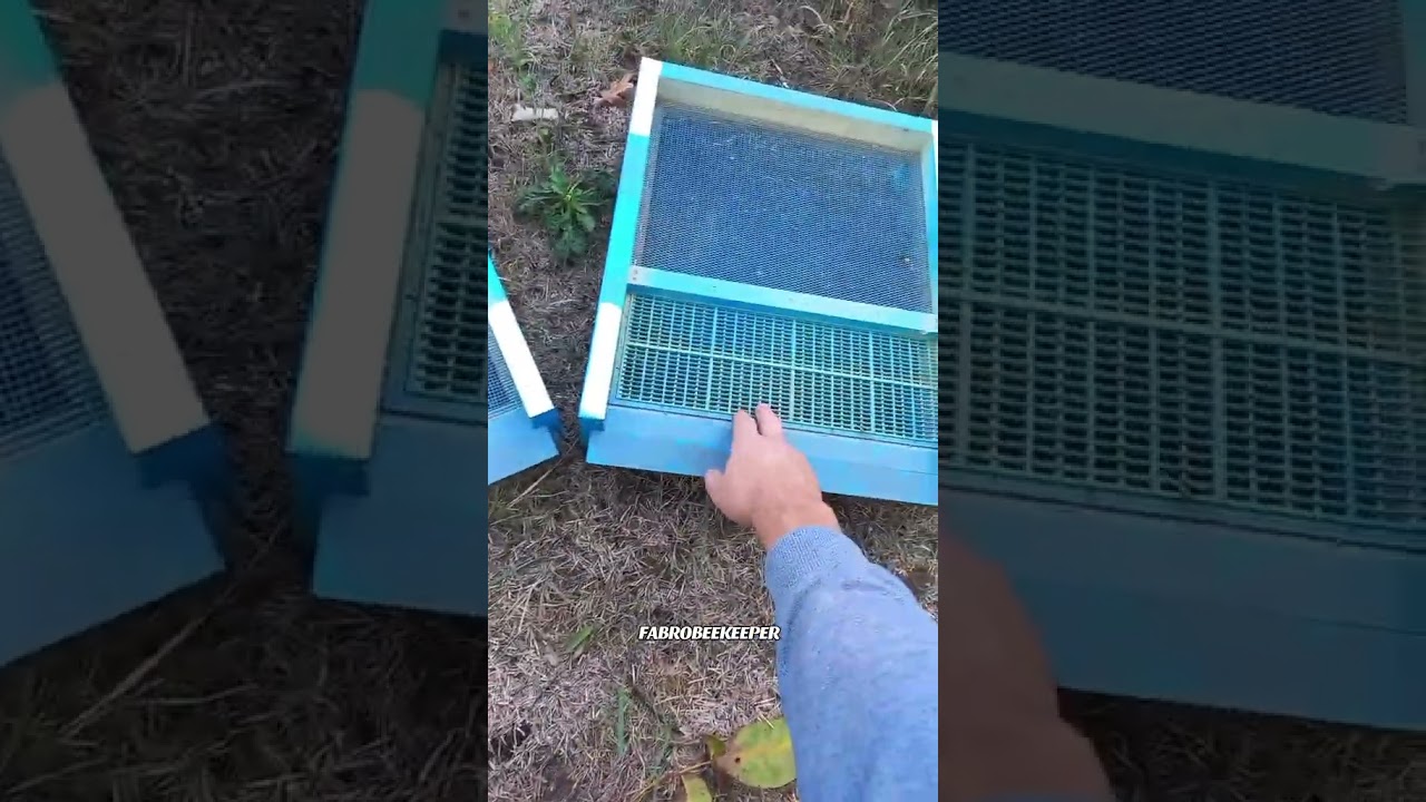 Дно-пилкозбірник.      #fabro #fabrobeekeeper