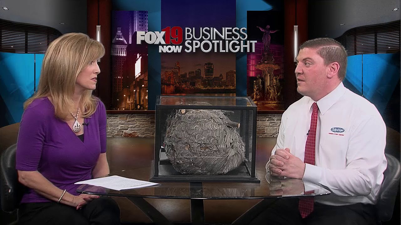 Business Spotlight with Scherzinger Pest Control on Summer Pests