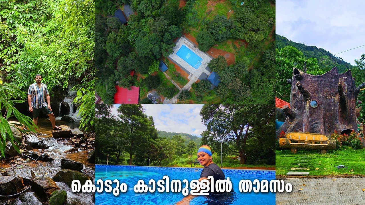 സ്വന്തമായി വെള്ളച്ചാട്ടം, മഴയും തണുപ്പും; കാടിനരികിലെവിസ്മയം കണ്ടോ? | Nature friendly home in Kannur